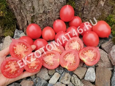 Томат «Сызранская пипочка»