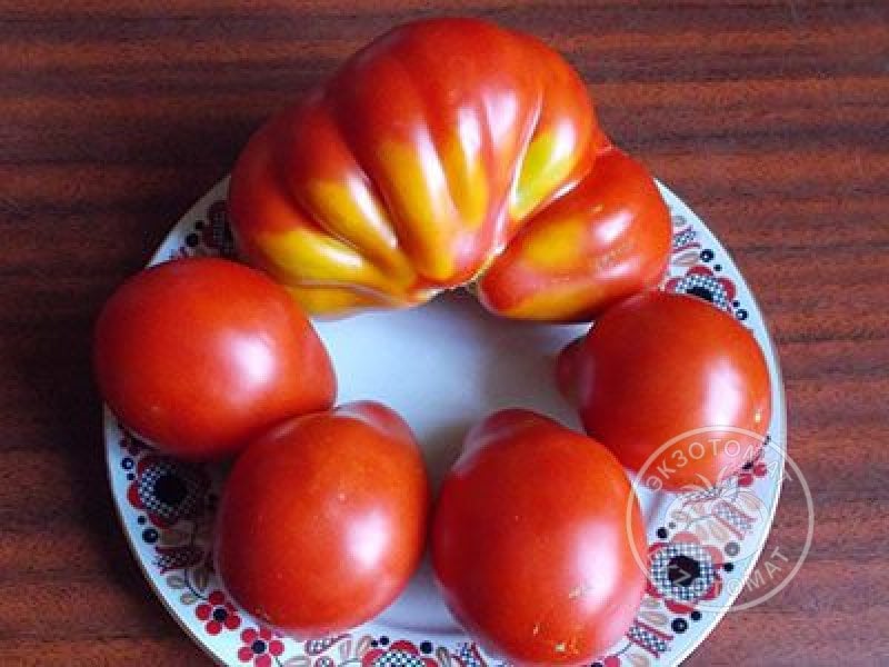 Томат «Трюфель красный»