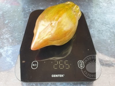 Томат «Тюльпан чёрный» Томат «Тюльпан чёрный»