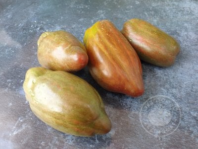 Томат «Тюльпан чёрный» Томат «Тюльпан чёрный»