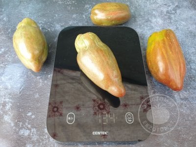 Томат «Тюльпан чёрный» Томат «Тюльпан чёрный»