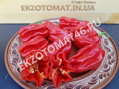 Перец «Ugandan Red Habanero»