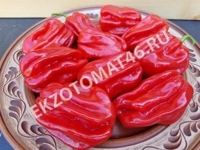 Перец «Ugandan Red Habanero»