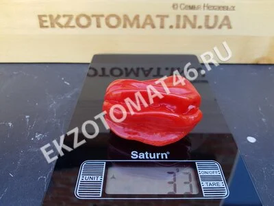Перец «Ugandan Red Habanero»