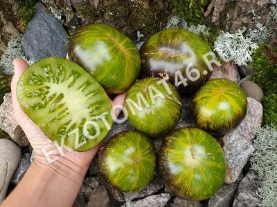 Томат «Xanadu Green Goddess»