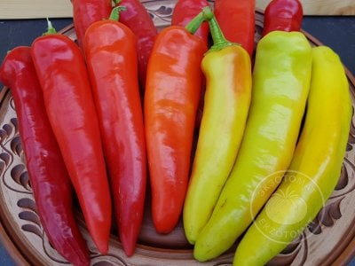 Перец  «Hungarian Yellow Wax Hot»